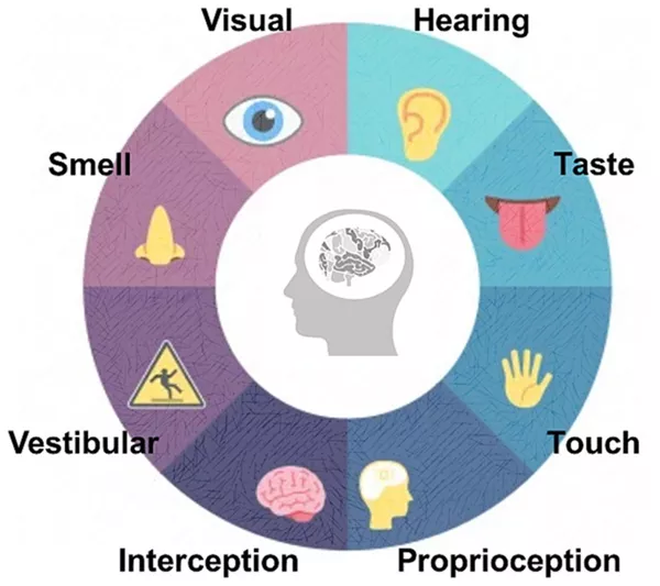 Ilustração mostrando várias experiências sensoriais, como toque, audição e visão, para ilustrar a diversidade do jogo sensorial.